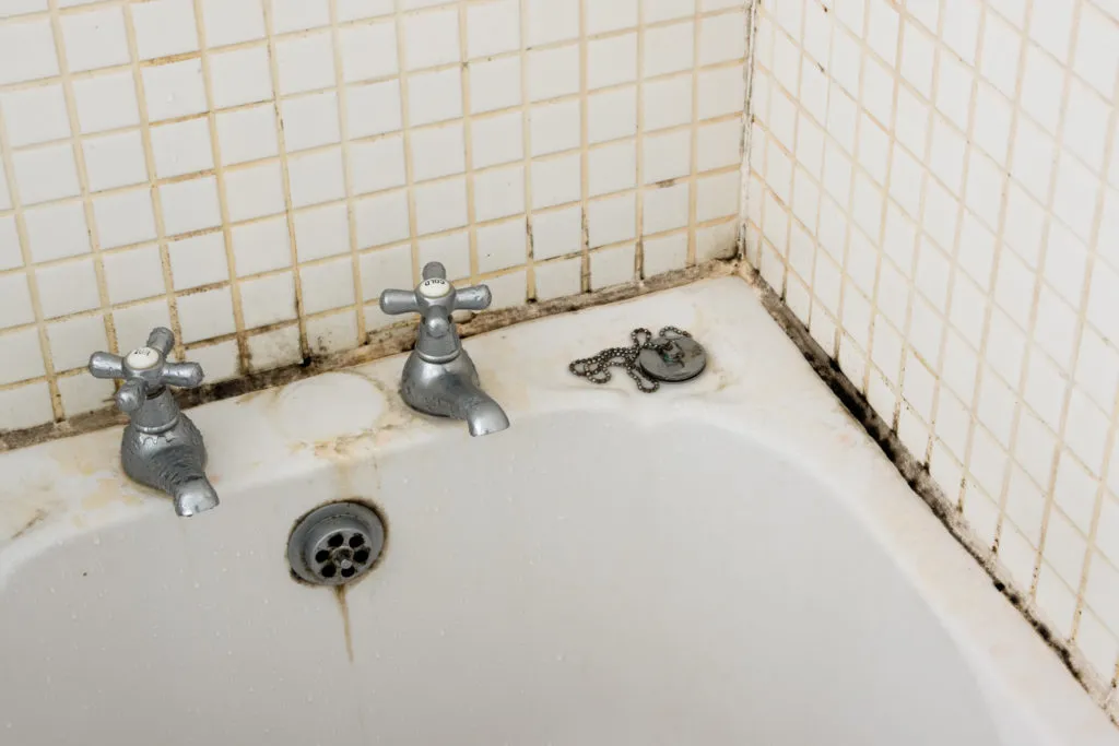Mold and mildew buildup in a shower that keeps coming back